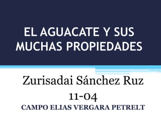 EL AGUACATE Y SUS
MUCHAS PROPIEDADES
Zurisadai Sánchez Ruz
11-04
CAMPO ELIAS VERGARA PETRELT
 
