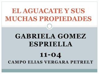 GABRIELA GOMEZ
ESPRIELLA
11-04
CAMPO ELIAS VERGARA PETRELT
EL AGUACATE Y SUS
MUCHAS PROPIEDADES
 