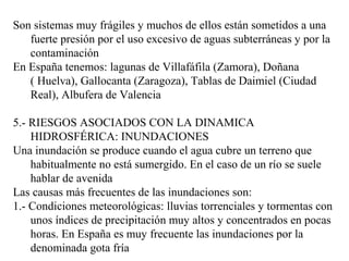 Son sistemas muy frágiles y muchos de ellos están sometidos a una
fuerte presión por el uso excesivo de aguas subterráneas y por la
contaminación
En España tenemos: lagunas de Villafáfila (Zamora), Doñana
( Huelva), Gallocanta (Zaragoza), Tablas de Daimiel (Ciudad
Real), Albufera de Valencia
5.- RIESGOS ASOCIADOS CON LA DINAMICA
HIDROSFÉRICA: INUNDACIONES
Una inundación se produce cuando el agua cubre un terreno que
habitualmente no está sumergido. En el caso de un río se suele
hablar de avenida
Las causas más frecuentes de las inundaciones son:
1.- Condiciones meteorológicas: lluvias torrenciales y tormentas con
unos índices de precipitación muy altos y concentrados en pocas
horas. En España es muy frecuente las inundaciones por la
denominada gota fría
 