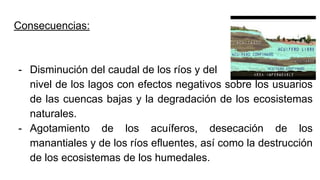 Consecuencias:
- Disminución del caudal de los ríos y del
nivel de los lagos con efectos negativos sobre los usuarios
de las cuencas bajas y la degradación de los ecosistemas
naturales.
- Agotamiento de los acuíferos, desecación de los
manantiales y de los ríos efluentes, así como la destrucción
de los ecosistemas de los humedales.
 
