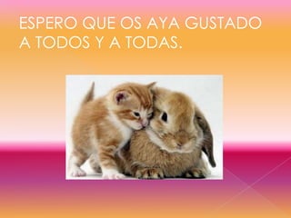 ESPERO QUE OS AYA GUSTADO
A TODOS Y A TODAS.
 