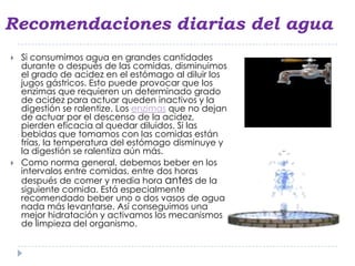 Recomendaciones diarias del agua
   Si consumimos agua en grandes cantidades
    durante o después de las comidas, disminuimos
    el grado de acidez en el estómago al diluir los
    jugos gástricos. Esto puede provocar que los
    enzimas que requieren un determinado grado
    de acidez para actuar queden inactivos y la
    digestión se ralentize. Los enzimas que no dejan
    de actuar por el descenso de la acidez,
    pierden eficacia al quedar diluidos. Si las
    bebidas que tomamos con las comidas están
    frías, la temperatura del estómago disminuye y
    la digestión se ralentiza aún más.
   Como norma general, debemos beber en los
    intervalos entre comidas, entre dos horas
    después de comer y media hora antes de la
    siguiente comida. Está especialmente
    recomendado beber uno o dos vasos de agua
    nada más levantarse. Así conseguimos una
    mejor hidratación y activamos los mecanismos
    de limpieza del organismo.
 