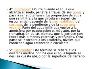    4º Infiltración: Ocurre cuando el agua que
    alcanza el suelo, penetra a través de sus poros y
    pasa a ser subterránea. La proporción de agua
    que se infiltra y la que circula en superficie
    (escorrentía) depende de la permeabilidad del
    sustrato, de la pendiente y de la cobertura
    vegetal. Parte del agua infiltrada vuelve a la
    atmósfera por evaporación o, más aún, por la
    transpiración de las plantas, que la extraen con
    raíces más o menos extensas y profundas. Otra
    parte se incorpora a los acuíferos, niveles que
    contienen agua estancada o circulante.

   5º Escorrentía: Este término se refiere a los
    diversos medios por los que el agua líquida se
    desliza cuesta abajo por la superficie del terreno.
 