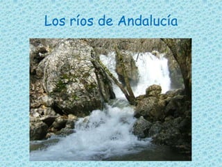 Los ríos de Andalucía
 