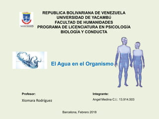 El Agua en el Organismo
REPUBLICA BOLIVARIANA DE VENEZUELA
UNIVERSIDAD DE YACAMBÚ
FACULTAD DE HUMANIDADES
PROGRAMA DE LICENCIATURA EN PSICOLOGÍA
BIOLOGÍA Y CONDUCTA
Profesor: Integrante:
Xiomara Rodríguez Angel Medina C.I.: 13.914.503
Barcelona, Febrero 2018
 