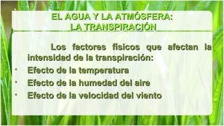 EL AGUA Y LA ATMÓSFERA:
             LA TRANSPIRACIÓN

          Los factores físicos que afectan la
    intensidad de la transpiración:
•   Efecto de la temperatura
•   Efecto de la humedad del aire
•   Efecto de la velocidad del viento
 