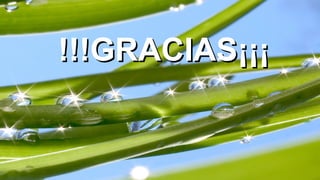 !!!GRACIAS¡¡¡
 