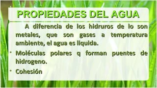 PROPIEDADES DEL AGUA
     A diferencia de los hidruros de lo son
  metales, que son gases a temperatura
  ambiente, el agua es liquida.
• Moléculas polares q forman puentes de
  hidrogeno.
• Cohesión
 