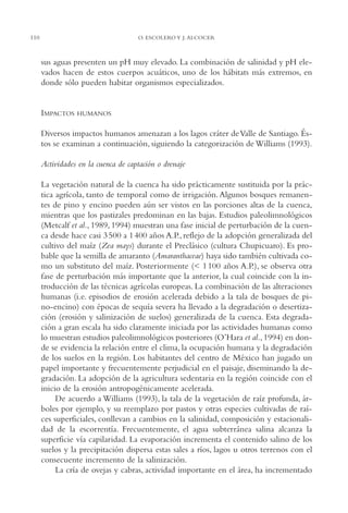 AMC Ag05 V.Santiago

16/4/94

110

11:40 am

Page 110

O. ESCOLERO Y J. ALCOCER

sus aguas presenten un pH muy elevado. La combinación de salinidad y pH elevados hacen de estos cuerpos acuáticos, uno de los hábitats más extremos, en
donde sólo pueden habitar organismos especializados.

IMPACTOS

HUMANOS

Diversos impactos humanos amenazan a los lagos cráter de Valle de Santiago. Éstos se examinan a continuación, siguiendo la categorización de Williams (1993).
Actividades en la cuenca de captación o drenaje
La vegetación natural de la cuenca ha sido prácticamente sustituida por la práctica agrícola, tanto de temporal como de irrigación. Algunos bosques remanentes de pino y encino pueden aún ser vistos en las porciones altas de la cuenca,
mientras que los pastizales predominan en las bajas. Estudios paleolimnológicos
(Metcalf et al., 1989, 1994) muestran una fase inicial de perturbación de la cuenca desde hace casi 3 500 a 1 400 años A.P., reflejo de la adopción generalizada del
cultivo del maíz (Zea mays) durante el Preclásico (cultura Chupicuaro). Es probable que la semilla de amaranto (Amaranthaceae) haya sido también cultivada como un substituto del maíz. Posteriormente (< 1 100 años A.P.), se observa otra
fase de perturbación más importante que la anterior, la cual coincide con la introducción de las técnicas agrícolas europeas. La combinación de las alteraciones
humanas (i.e. episodios de erosión acelerada debido a la tala de bosques de pino-encino) con épocas de sequía severa ha llevado a la degradación o desertización (erosión y salinización de suelos) generalizada de la cuenca. Esta degradación a gran escala ha sido claramente iniciada por las actividades humanas como
lo muestran estudios paleolimnológicos posteriores (O’Hara et al., 1994) en donde se evidencia la relación entre el clima, la ocupación humana y la degradación
de los suelos en la región. Los habitantes del centro de México han jugado un
papel importante y frecuentemente perjudicial en el paisaje, diseminando la degradación. La adopción de la agricultura sedentaria en la región coincide con el
inicio de la erosión antropogénicamente acelerada.
De acuerdo a Williams (1993), la tala de la vegetación de raíz profunda, árboles por ejemplo, y su reemplazo por pastos y otras especies cultivadas de raíces superficiales, conllevan a cambios en la salinidad, composición y estacionalidad de la escorrentía. Frecuentemente, el agua subterránea salina alcanza la
superficie vía capilaridad. La evaporación incrementa el contenido salino de los
suelos y la precipitación dispersa estas sales a ríos, lagos u otros terrenos con el
consecuente incremento de la salinización.
La cría de ovejas y cabras, actividad importante en el área, ha incrementado

 