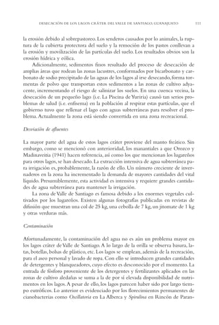 AMC Ag05 V.Santiago

16/4/94

11:40 am

Page 111

DESECACIÓN DE LOS LAGOS CRÁTER DEL VALLE DE SANTIAGO, GUANAJUATO

la erosión debido al sobrepastoreo. Los senderos causados por lo animales, la ruptura de la cubierta protectora del suelo y la remoción de los pastos conllevan a
la erosión y movilización de las partículas del suelo. Los resultados obvios son la
erosión hídrica y eólica.
Adicionalmente, sedimentos finos resultado del proceso de desecación de
amplias áreas que rodean las zonas lacustres, conformados por bicarbonato y carbonato de sodio precipitado de las aguas de los lagos al irse desecando, forma tormentas de polvo que transportan estos sedimentos a las zonas de cultivo adyacente, incrementando el riesgo de salinizar los suelos. En una cuenca vecina, la
desecación de un pequeño lago (i.e. La Piscina de Yuriria) causó tan serios problemas de salud (i.e. enfisema) en la población al respirar estas partículas, que el
gobierno tuvo que rellenar el lago con aguas subterráneas para resolver el problema. Actualmente la zona está siendo convertida en una zona recreacional.
Desviación de afluentes
La mayor parte del agua de estos lagos cráter proviene del manto freático. Sin
embargo, como se mencionó con anterioridad, los manantiales a que Orozco y
Madinaveitia (1941) hacen referencia, así como los que mencionan los lugareños
para otros lagos, se han desecado. La extracción intensiva de agua subterránea para irrigación es, probablemente, la razón de ello. Un número creciente de invernaderos en la zona ha incrementado la demanda de mayores cantidades del vital
líquido. Presumiblemente, esta actividad es intensiva y requiere grandes cantidades de agua subterránea para mantener la irrigación.
La zona de Valle de Santiago es famosa debido a los enormes vegetales cultivados por los lugareños. Existen algunas fotografías publicadas en revistas de
difusión que muestran una col de 25 kg, una cebolla de 7 kg, un jitomate de 1 kg
y otras verduras más.
Contaminación
Afortunadamente, la contaminación del agua no es aún un problema mayor en
los lagos cráter de Valle de Santiago. A lo largo de la orilla se observa basura, latas, botellas, bolsas de plástico, etc. Los lagos se emplean, además de la recreación,
para el aseo personal y lavado de ropa. Con ello se introducen grandes cantidades
de detergentes y blanqueadores, cuyo efecto es desconocido por el momento. La
entrada de fósforo proveniente de los detergentes y fertilizantes aplicados en las
zonas de cultivo aledañas se suma a la de por sí elevada disponibilidad de nutrimentos en los lagos.A pesar de ello, los lagos parecen haber sido por largo tiempo eutróficos. Lo anterior es evidenciado por los florecimientos permanentes de
cianobacterias como Oscillatoria en La Alberca y Spirulina en Rincón de Paran-

111

 