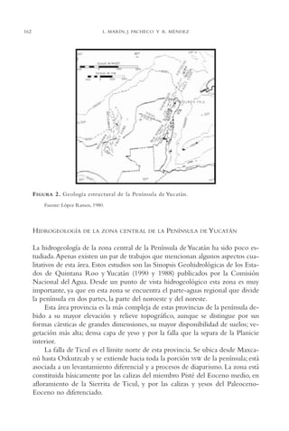 AMC Ag08 Yucatán

16/4/94

162

11:45 am

Page 162

L. MARÍN, J. PACHECO Y R. MÉNDEZ

F IGURA 2. Geología estructural de la Península de Yucatán.
Fuente: López Ramos, 1980.

HIDROGEOLOGÍA

DE LA ZONA CENTRAL DE LA

PENÍNSULA

DE YUCATÁN

La hidrogeología de la zona central de la Península de Yucatán ha sido poco estudiada.Apenas existen un par de trabajos que mencionan algunos aspectos cualitativos de esta área. Estos estudios son las Sinopsis Geohidrológicas de los Estados de Quintana Roo y Yucatán (1990 y 1988) publicados por la Comisión
Nacional del Agua. Desde un punto de vista hidrogeológico esta zona es muy
importante, ya que en esta zona se encuentra el parte-aguas regional que divide
la península en dos partes, la parte del noroeste y del noreste.
Esta área provincia es la más compleja de estas provincias de la península debido a su mayor elevación y relieve topográfico, aunque se distingue por sus
formas cársticas de grandes dimensiones, su mayor disponibilidad de suelos; vegetación más alta; densa capa de yeso y por la falla que la separa de la Planicie
interior.
La falla de Ticul es el límite norte de esta provincia. Se ubica desde Maxcanú hasta Oxkutzcab y se extiende hacia toda la porción SSW de la península; está
asociada a un levantamiento diferencial y a procesos de diaparismo. La zona está
constituida básicamente por las calizas del miembro Pisté del Eoceno medio, en
afloramiento de la Sierrita de Ticul, y por las calizas y yesos del PaleocenoEoceno no diferenciado.

 