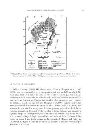 AMC Ag08 Yucatán

16/4/94

11:45 am

Page 165

HIDROGEOLOGÍA DE LA PENÍNSULA DE YUCATÁN

FIGURA 3. El Anillo de Cenotes fue descubierto originalmente por Charles Duller de la NASA.
Fuente: Marín et al. (1987), y Marín (1990) propusieron que funciona como un río subterráneo.

EL

CRÁTER DE

CHICXULUB

Penfield y Camargo (1981), Hildebrand et al. (1990) y Sharpton et al. (1992,
1993) entre otros, coinciden en la interpretación de que en la Península de Yucatán cayó hace 65 millones de años, un meteorito o cometa que causó las extinciones masivas observadas en el límite del Cretácico-Terciario, incluyendo la
muerte de los dinosaurios. Algunos investigadores han propuesto que el diámetro del cráter es del orden de 300 km (Sharpton et al., 1993) (figura 4); otros han
propuesto que el diámetro es del orden de 180-220 km (Pope et al., 1996). Por
lo tanto, de acuerdo al primer grupo de investigadores, sobre el borde de la cavidad de excavación (transient cavity), o sobre el borde del cráter, de acuerdo al
segundo grupo de investigadores, existe un anillo de cenotes. Este anillo de cenotes controla el flujo del agua subterránea en el noroeste de la Península de Yucatán. La figura 4 muestra la imagen de la anomalía de Bouger del Cráter de
Chicxulub. La figura 5 muestra los anillos de acuerdo al modelo propuesto por
Sharpton et al. (1993).

165

 