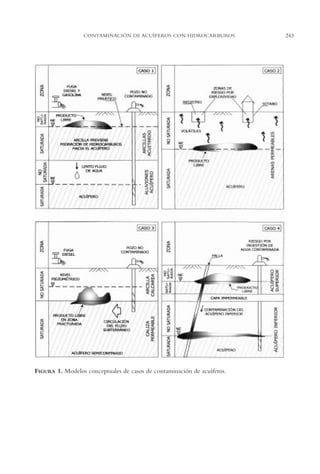 AMC Ag12 Hidrocarb.

16/4/94

11:51 am

Page 243

CONTAMINACIÓN DE ACUÍFEROS CON HIDROCARBUROS

FIGURA 1. Modelos conceptuales de casos de contaminación de acuíferos.

243

 