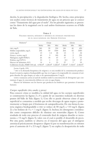 AMC Ag02ValleTula

13/4/94

04:59 pm

Page 37

EL REÚSO INTENCIONAL Y NO INTENCIONAL DEL AGUA EN EL VALLE DE TULA

dación, la precipitación y la degradación biológica. De hecho, estos principios
son usados como técnicas de tratamiento de agua en un proceso que se conoce
como “Tratamiento del agua por el suelo”. En los párrafos siguientes, se presentan los datos de la magnitud con la cual ambos fenómenos ocurren en el Valle
de Tula.
TABLA 2
VALORES

MEDIOS, MÁXIMOS Y MÍNIMOS DE DIVERSOS PARÁMETROS
EN EL AGUA RESIDUAL DEL

E MISOR C ENTRAL

Parámetro1

Estiaje
Lluvias
∆
Media
Mín
Máx
Media
Mín
Máx
DBO, mg/L
240
20
330
180
40
420
Sólidos suspendidos, mg/L
295
60
1500
264
52
3383
SAAM, mg/L
13
1.5
28
13
5
24
Grasas y aceites, mg/L
40
5
185
40
2
235
Nitrógeno, mgN-NTK/L
26
18
47
17
2
61
Fósforo, mg P-PT/L
10
1
19
8.3
0.2
27
Huevos de helmintos, H/L
14
6
23
27
7
93
Coliformes fecales, NMP/100 mL 4.9X108 1.2X108 5.2X109 7.4X108 7.1X107 2.4X109
Fuente: Capella, 1995.
1 DBO es la demanda bioquímica de oxígeno y es una medida de la contaminación producida por la materia orgánica biodegradable que hay en el agua; es la responsable de consumir el oxígeno disuelto. En agua limpia, su valor es de aproximadamente 5 mg/L.
SAAM o sustancias activas al azul de metileno mide la concentración de detergentes que contaminan el agua, la concentración debiera ser cero en agua limpia.
Huevos de helmintos son los huevos que producen las lombrices que parasitan al intestino
humano.

Cuerpos superficiales (ríos, canales y presas)
Para conocer cómo se modifica la calidad del agua en los cuerpos superficiales
se construyeron las figuras 2 a 8 a partir de un muestreo realizado en diversos
puntos del Valle de Tula (figura 1). Con ello se puede observar cómo el agua
superficial se contamina a medida que recibe descargas de aguas negras y posteriormente se limpia por el fenómeno de autopurificación. De esta forma la materia orgánica biodegradable o DBO se reduce de 80 mg/L a <10 mg/L (figura
2) y los fosfatos de 4 a < 1 mg/L (figura 3). Incluso, los detergentes considerados como compuestos difíciles de eliminar son removidos (figura 4). Como
resultado de todo este proceso el contenido final de oxígeno disuelto se incrementa a >5 mg/L (figura 5), valor con el cual es posible el desarrollo de peces.
Por otra parte, también se observa en el trayecto del agua que el nitrógeno
amoniacal prácticamente desaparece (figura 6) por su transformación en nitratos
pero el aumento de 0 a 2.5 mg/L (figura 7) no explica la desaparición de todo

37

 