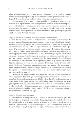 AMC Ag03Cuenca Or.

72

13/4/94

05:11 pm

Page 72

J. ALCOCER, O. ESCOLERO Y L. MARÍN

chos. Adicionalmente, jabones, detergentes y blanqueadores se emplean comúnmente para la higiene personal y lavado de ropa, mismos que son desechados a lo
largo de la zona litoral de los lagos-cráter y las principales corrientes.
Debido a que la agricultura es una actividad preponderante y creciente en
la zona, es de esperarse que tarde o temprano los recursos hídricos sean impactados con fertilizantes y plaguicidas. Este punto es especialmente importante en
relación con las aguas subterráneas ya que son empleadas para riego y consideradas como fuente potencial de abastecimiento de agua potable para grandes
ciudades como Puebla y México.
Impactos directos en los recursos bióticos de relevancia económica local
El impacto más directo sobre la biota acuática lo constituye la disminución del
recurso hídrico. Sin embargo, otros procesos como la introducción de especies
exóticas puede dar por resultado la eliminación de especies nativas de importancia económica o ecológica. En los lagos-cráter, se han introducido carpas japonesas Cyprinus carpio y Carassius auratus en Aljojuca y Tecuitlapa. Asimismo, en
Quechulac y La Preciosa se desarrollan cultivos de trucha arcoiris (Oncorhynchus
mykiss) por parte de los habitantes de la zona. Sin embargo, algunas de ellas han
escapado y establecido en los lagos.Al momento no existen estudios del impacto
de estas especies exóticas introducidas sobre las poblaciones locales de charales,
sin embargo al ser carnívoras, éstas depredarán juveniles y adultos de charales.
Resulta necesario recordar que los charales de los lagos-cráter (Poblana alchichica, P letholepis, P. squamata) son endémicos de cada uno de ellos y que, por lo
.
tanto, su existencia está puesta en riesgo no sólo por la disminución del nivel de
los lagos y la contaminación, sino ahora por la presencia de especies depredadoras más grandes y voraces.
Aparte de las introducciones, son pocos los casos de impactos directos en
otros organismos. Sin embargo resulta importante mencionar que las aves acuáticas han disminuido notablemente debido a la reducción o eliminación de la
zona litoral de los lagos (menor disponibilidad de zonas de alimentación, refugio, reproducción, etc.), así como al incremento de la caza no controlada llevada
a cabo por locales y foráneos. Aunque con objetivos científicos, la especie endémica de salamandra ambistomátida (ajolote) de Alchichica, Ambystoma taylorii, es
frecuentemente substraída del lago.
Impactos físicos en la cuenca lacustre
El impacto físico más importante en la cuenca es la sobrextracción de agua subterránea para la irrigación y suministro de agua para grandes ciudades. Como se
ha mencionado, la agricultura es una actividad importante y creciente en la
cuenca. Originalmente la agricultura dependía de la precipitación pluvial solamente. Hoy en día, la irrigación con aguas subterráneas está desplazando a la

 