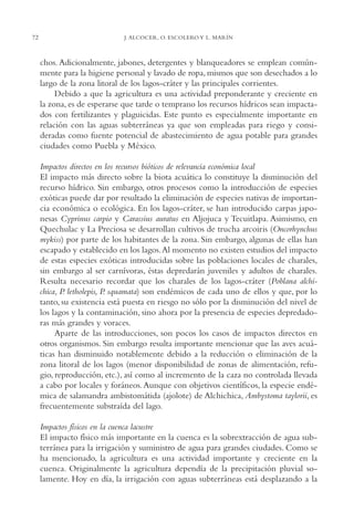 AMC Ag03Cuenca Or.

72

13/4/94

05:11 pm

Page 72

J. ALCOCER, O. ESCOLERO Y L. MARÍN

chos. Adicionalmente, jabones, detergentes y blanqueadores se emplean comúnmente para la higiene personal y lavado de ropa, mismos que son desechados a lo
largo de la zona litoral de los lagos-cráter y las principales corrientes.
Debido a que la agricultura es una actividad preponderante y creciente en
la zona, es de esperarse que tarde o temprano los recursos hídricos sean impactados con fertilizantes y plaguicidas. Este punto es especialmente importante en
relación con las aguas subterráneas ya que son empleadas para riego y consideradas como fuente potencial de abastecimiento de agua potable para grandes
ciudades como Puebla y México.
Impactos directos en los recursos bióticos de relevancia económica local
El impacto más directo sobre la biota acuática lo constituye la disminución del
recurso hídrico. Sin embargo, otros procesos como la introducción de especies
exóticas puede dar por resultado la eliminación de especies nativas de importancia económica o ecológica. En los lagos-cráter, se han introducido carpas japonesas Cyprinus carpio y Carassius auratus en Aljojuca y Tecuitlapa. Asimismo, en
Quechulac y La Preciosa se desarrollan cultivos de trucha arcoiris (Oncorhynchus
mykiss) por parte de los habitantes de la zona. Sin embargo, algunas de ellas han
escapado y establecido en los lagos.Al momento no existen estudios del impacto
de estas especies exóticas introducidas sobre las poblaciones locales de charales,
sin embargo al ser carnívoras, éstas depredarán juveniles y adultos de charales.
Resulta necesario recordar que los charales de los lagos-cráter (Poblana alchichica, P letholepis, P. squamata) son endémicos de cada uno de ellos y que, por lo
.
tanto, su existencia está puesta en riesgo no sólo por la disminución del nivel de
los lagos y la contaminación, sino ahora por la presencia de especies depredadoras más grandes y voraces.
Aparte de las introducciones, son pocos los casos de impactos directos en
otros organismos. Sin embargo resulta importante mencionar que las aves acuáticas han disminuido notablemente debido a la reducción o eliminación de la
zona litoral de los lagos (menor disponibilidad de zonas de alimentación, refugio, reproducción, etc.), así como al incremento de la caza no controlada llevada
a cabo por locales y foráneos. Aunque con objetivos científicos, la especie endémica de salamandra ambistomátida (ajolote) de Alchichica, Ambystoma taylorii, es
frecuentemente substraída del lago.
Impactos físicos en la cuenca lacustre
El impacto físico más importante en la cuenca es la sobrextracción de agua subterránea para la irrigación y suministro de agua para grandes ciudades. Como se
ha mencionado, la agricultura es una actividad importante y creciente en la
cuenca. Originalmente la agricultura dependía de la precipitación pluvial solamente. Hoy en día, la irrigación con aguas subterráneas está desplazando a la

 