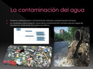 La contaminación del aguaPodemos distinguir entre contaminación natural y contaminación humana.La verdadera preocupación viene de la contaminación humana que es capaz de transformar totalmente los medios acuáticos.