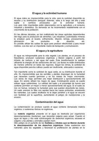 El agua y la actividad humana
El agua dulce es imprescindible para la vida, pero la cantidad disponible es
escasa y su distribución desigual. Además, varía a lo largo del año y está
sujeta a cambios provocados por la actividad humana.
Los usos más importantes están relacionados con la agricultura y el consumo
industrial y doméstico. Su demanda se ha incrementado notablemente con el
crecimiento de la población.
En las últimas décadas, se han multiplicado las áreas agrícolas dependientes
del riego para la producción de alimentos. Las industrias y actividades mineras
la emplean para el lavado, enfriamiento, dilución, remojo, procesamiento,
eliminación de productos de desecho, etc.
Es posible utilizar las caídas de agua para producir electricidad y para mover
molinos. Los ríos son un importante medio de transporte y comunicación.
El agua y la agricultura
El agua es indispensable para la vida vegetal. Las plantas, en el proceso de
fotosíntesis, producen sustancias orgánicas y liberan oxígeno a partir del
dióxido de carbono y del agua del suelo. Esta transformación la realizan
utilizando la energía de las radiaciones del sol. Las lluvias no están distribuidas
de manera uniforme en todas las regiones. Según los climas, la cantidad de
agua disponible para los cultivos puede ser insuficiente, adecuada o excesiva.
Tan importante como la cantidad de agua caída, es su distribución durante el
año. Es imprescindible que las semillas y plantas dispongan de la humedad
que necesitan cuando germinan y en los meses de mayor crecimiento.
Las obras de riego permiten una mejor distribución y aprovechamiento del
agua. En verano utilizan los riegos de agua. Construyendo pozos se puede
extraer agua subterránea. La calidad del suelo y el porcentaje de humus que
contiene permiten un mayor o menor aprovechamiento del agua. Si el suelo es
rico en humus, conserva la humedad para que puedan absorberla las raíces.
Un suelo arenoso la filtra con rapidez hacia las capas profundas, arrastrando
los nutrientes. Los suelos arcillosos no la dejan penetrar y el agua se escurre
con facilidad por la superficie, aumentando el peligro de inundaciones y la
erosión.
Contaminación del agua
La contaminación se produce cuando el agua contiene demasiada materia
orgánica, o sustancias tóxicas no orgánicas.
La materia orgánica presente en el agua es destruida por organismos
descomponedores (bacterias), que necesitan oxígeno para actuar. Cuando el
agua de lagos y ríos está sobrecargada de desechos orgánicos, escasea el
oxígeno y las plantas y animales pueden morir.
Otro peligro es el aumento de los fosfatos y nitratos que se liberan durante
la descomposición de los desechos orgánicos. Estas sustancias son
nutrientes para los vegetales y favorecen la proliferación de plantas en la
 