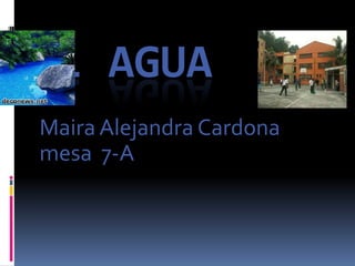 EL AGUA Maira Alejandra Cardona mesa  7-A 