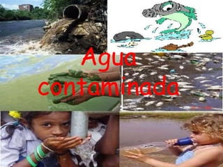 Agua
contaminada
 