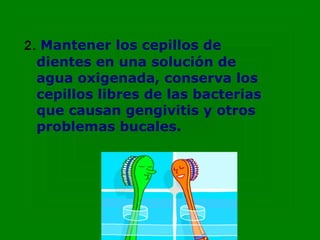 2. Mantener los cepillos de
 dientes en una solución de
 agua oxigenada, conserva los
 cepillos libres de las bacterias
 que causan gengivitis y otros
 problemas bucales.
 