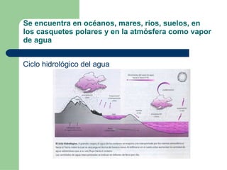 Se encuentra en océanos, mares, ríos, suelos, en los casquetes polares y en la atmósfera como vapor de agua Ciclo hidrológico del agua 