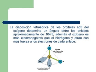 La disposición tetraédrica de los orbitales sp3 del oxígeno determina un ángulo entre los enlaces   aproximadamente de 104'5, además el oxígeno es más electronegativo que el hidrógeno y atrae con más fuerza a los electrones de cada enlace. 