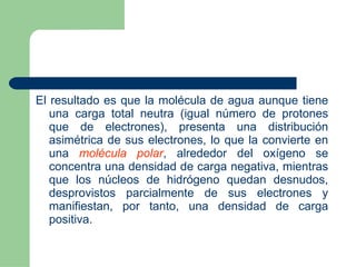 El resultado es que la molécula de agua aunque tiene una carga total neutra (igual número de protones que de electrones), presenta una distribución asimétrica de sus electrones, lo que la convierte en una  molécula polar , alrededor del oxígeno se concentra una densidad de carga negativa, mientras que los núcleos de hidrógeno quedan desnudos, desprovistos parcialmente de sus electrones y manifiestan, por tanto, una densidad de carga positiva. 