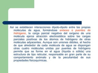 Así se establecen interacciones dipolo-dipolo entre las propias moléculas de agua, formándose  enlaces o puentes de hidrógeno , la carga parcial negativa del oxígeno de una molécula ejerce atracción electrostática sobre las cargas parciales positivas de los átomos de hidrógeno de otras moléculas adyacentes.   Aunque son uniones débiles, el hecho de que alrededor de cada molécula de agua se dispongan otras cuatro moléculas unidas por puentes de hidrógeno permite que se forme en el agua (líquida o sólida) una estructura de tipo reticular, responsable en gran parte de su comportamiento anómalo y de la peculiaridad de sus propiedades fisicoquímicas.  