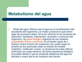 Metabolismo del agua Papel del agua: Dijimos que el agua es el constituyente más abundante del organismo y el medio universal en que tienen lugar los procesos vitales. Sirve de vehículo en los procesos de absorción, transporte, intercambio, secreción y excreción del organismo. Su  papel biológico  depende de sus notables  propiedades físicas y químicas . Es el líquido capaz de s disolver mayor número de sustancias, las cuales según el tamaño de sus partículas están en estado de micelas (coloides), moléculas o iones. La existencia de estas últimas partículas con carga eléctrica, de tanta importancia biológica, es posible debido a que la constante dieléctrica del agua es elevada y mayor que la de cualquier otro líquido.  