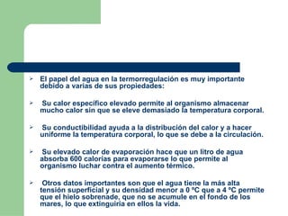 El papel del agua en la termorregulación es muy importante debido a varias de sus propiedades: Su calor específico elevado permite al organismo almacenar mucho calor sin que se eleve demasiado la temperatura corporal. Su conductibilidad ayuda a la distribución del calor y a hacer uniforme la temperatura corporal, lo que se debe a la circulación. Su elevado calor de evaporación hace que un litro de agua absorba 600 calorías para evaporarse lo que permite al organismo luchar contra el aumento térmico. Otros datos importantes son que el agua tiene la más alta tensión superficial y su densidad menor a 0 ºC que a 4 ºC permite que el hielo sobrenade, que no se acumule en el fondo de los mares, lo que extinguiría en ellos la vida. 