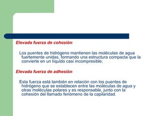 Elevada fuerza de cohesión Los puentes de hidrógeno mantienen las moléculas de agua fuertemente unidas, formando una estructura compacta que la convierte en un líquido casi incompresible. Elevada fuerza de adhesión Esta fuerza está también en relación con los puentes de hidrógeno que se establecen entre las moléculas de agua y otras moléculas polares y es responsable, junto con la cohesión del llamado fenómeno de la capilaridad .   