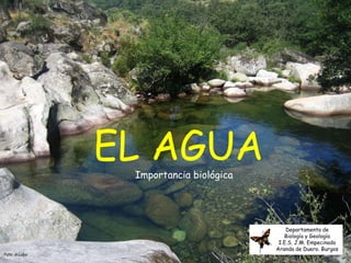 EL AGUA
 Importancia biológica




                             Departamento de
                            Biología y Geología
                          I.E.S. J.M. Empecinado
                         Aranda de Duero. Burgos
 