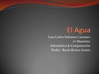 Luis Carlos Salomon Carrasco
                  1º1 Matutino
 Informática & Computación
  Profra : Rocío Rivera Arnaiz
 