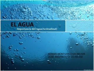 Importancia del Agua(Actitudinal)
SERGIO MONTOYA CI:24.583.028
JOSE ANGARITA CI: 23.493.332
 