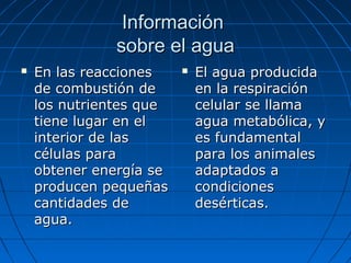 InformaciónInformación
sobre el aguasobre el agua
 En las reaccionesEn las reacciones
de combustión dede combustión de
los nutrientes quelos nutrientes que
tiene lugar en eltiene lugar en el
interior de lasinterior de las
células paracélulas para
obtener energía seobtener energía se
producen pequeñasproducen pequeñas
cantidades decantidades de
agua.agua.
 El agua producidaEl agua producida
en la respiraciónen la respiración
celular se llamacelular se llama
agua metabólica, yagua metabólica, y
es fundamentales fundamental
para los animalespara los animales
adaptados aadaptados a
condicionescondiciones
desérticas.desérticas.
 