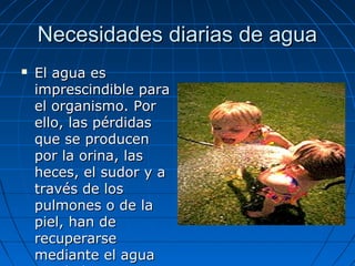 Necesidades diarias de aguaNecesidades diarias de agua
 El agua esEl agua es
imprescindible paraimprescindible para
el organismo. Porel organismo. Por
ello, las pérdidasello, las pérdidas
que se producenque se producen
por la orina, laspor la orina, las
heces, el sudor y aheces, el sudor y a
través de lostravés de los
pulmones o de lapulmones o de la
piel, han depiel, han de
recuperarserecuperarse
mediante el aguamediante el agua
 