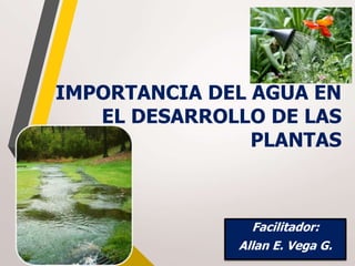 IMPORTANCIA DEL AGUA EN
EL DESARROLLO DE LAS
PLANTAS
Facilitador:
Allan E. Vega G.
 