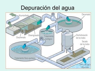 Depuración del agua 