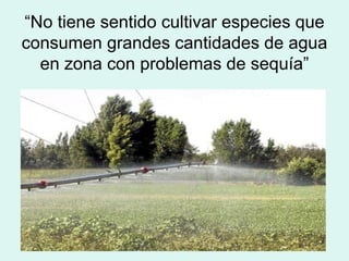 “ No tiene sentido cultivar especies que consumen grandes cantidades de agua en zona con problemas de sequía” 