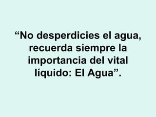 “ No desperdicies el agua, recuerda siempre la importancia del vital líquido: El Agua”. 
