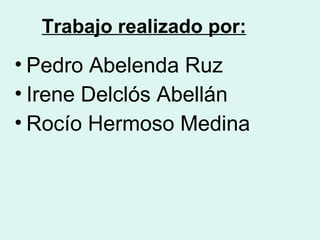 Trabajo realizado por: Pedro Abelenda Ruz Irene Delclós Abellán Rocío Hermoso Medina 