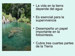 La vida en la tierra depende del agua Es esencial para la supervivencia Desempeña un papel importante en la fotosíntesis. Cubre tres cuartas partes de la Tierra 