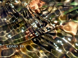 COMO TU