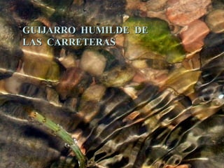 GUIJARRO HUMILDE DE LAS CARRETERAS