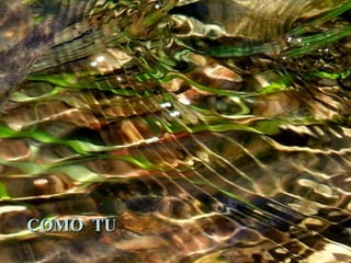 COMO TU