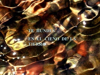 TE HUNDES EN EL CIENO DE LA TIERRA