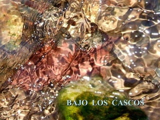 BAJO LOS CASCOS
