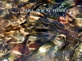 PARA SER NI PIEDRA