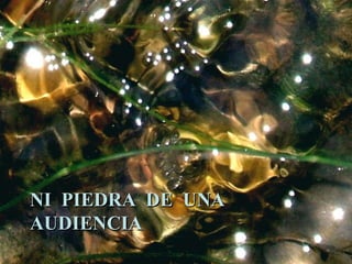 NI PIEDRA DE UNA AUDIENCIA